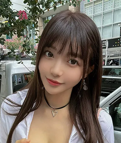 雾港迷航 手机免费在线观看